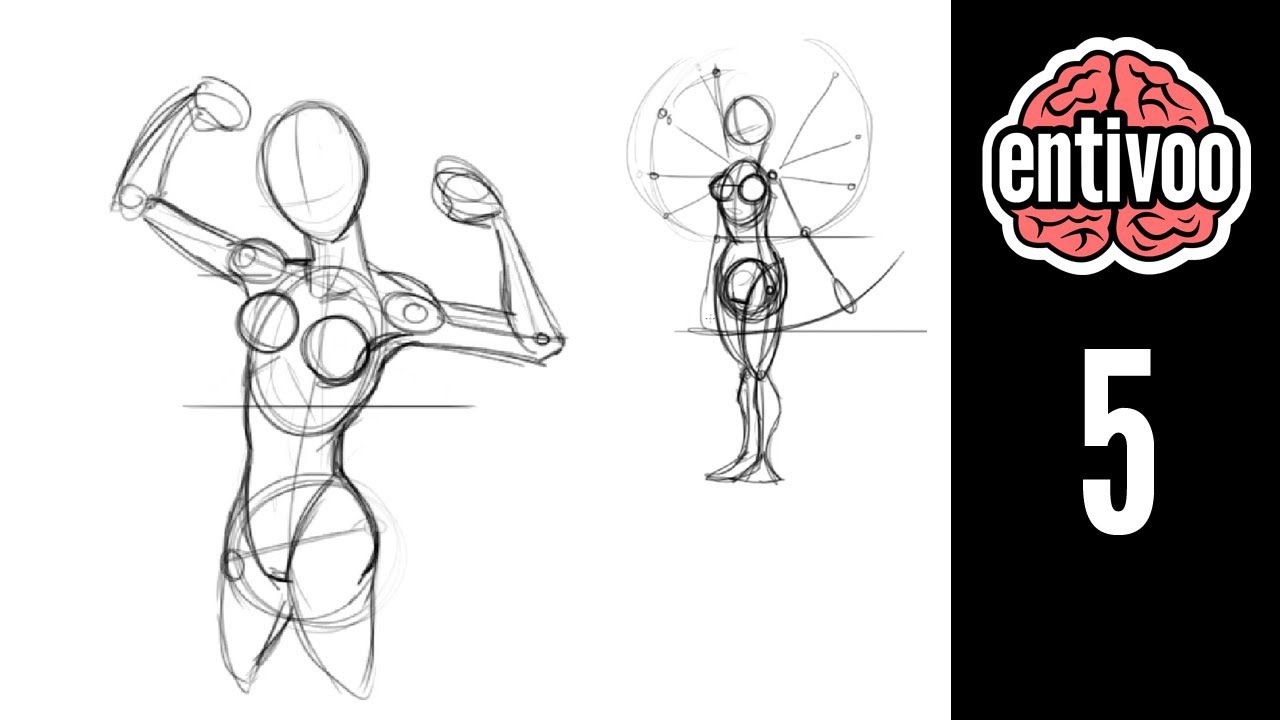 Aprende a dibujar el esqueleto de la mujer - Parte 1