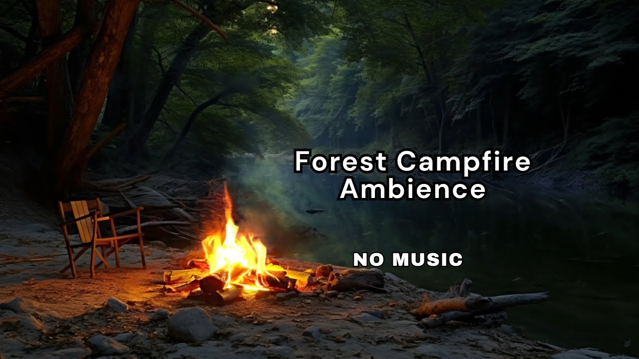 Campfire by a Silent River & Forest Night Ambience | Relaxing Nature Sounds