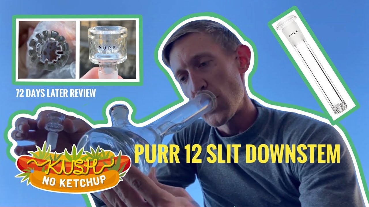 Purr 12-Slit Glass Downstem Review | KUSH NO KETCHUP