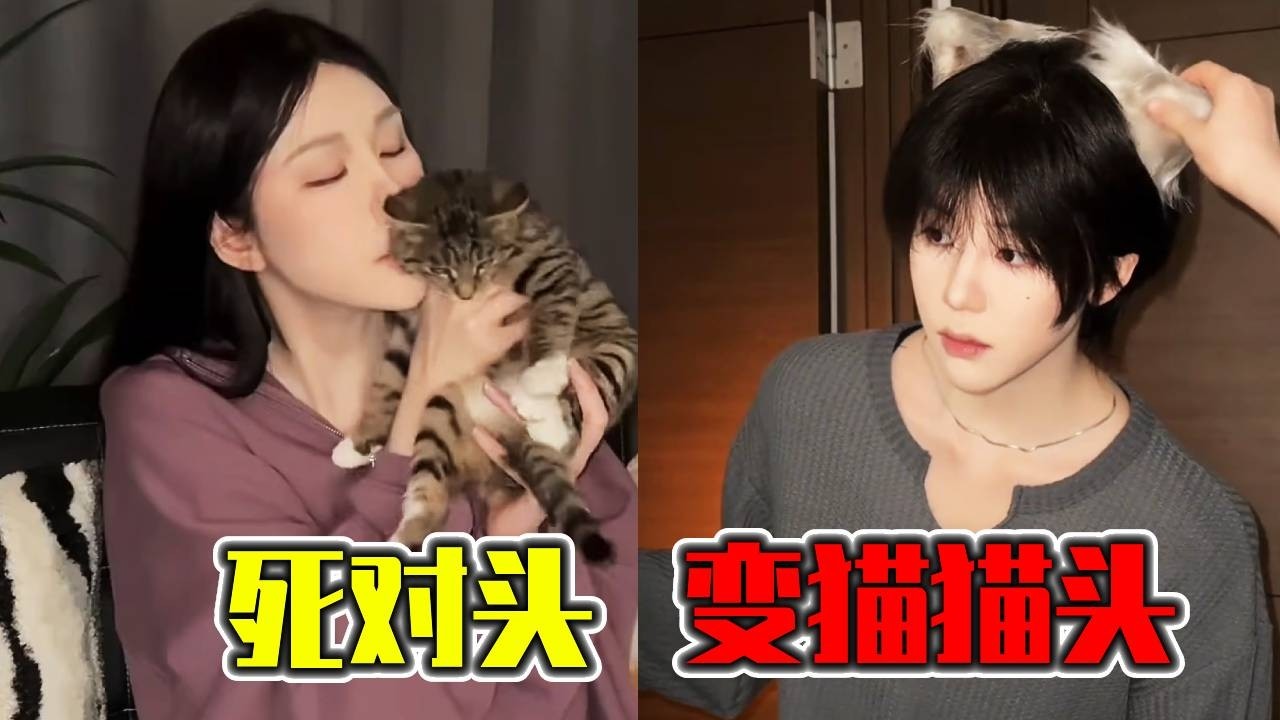 死对头变成我的猫！每天脑子只剩下摇摆！好可爱！不行是死对头！好可爱！不行是死对头！｜搞笑｜一人分饰多角｜晓茼丝er