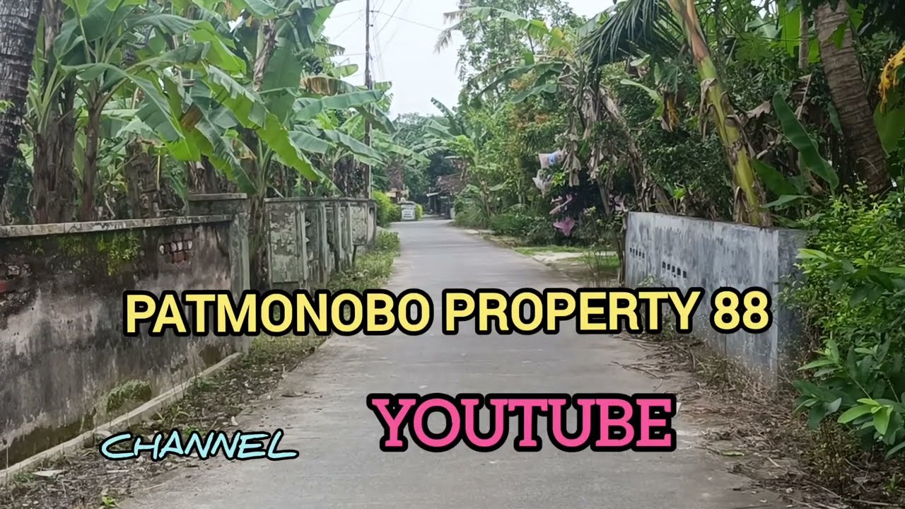 Tanah SHM 600 m² Ld 16 m ± desa srihardono Pundong Bantul Yogyakarta (600 RB )