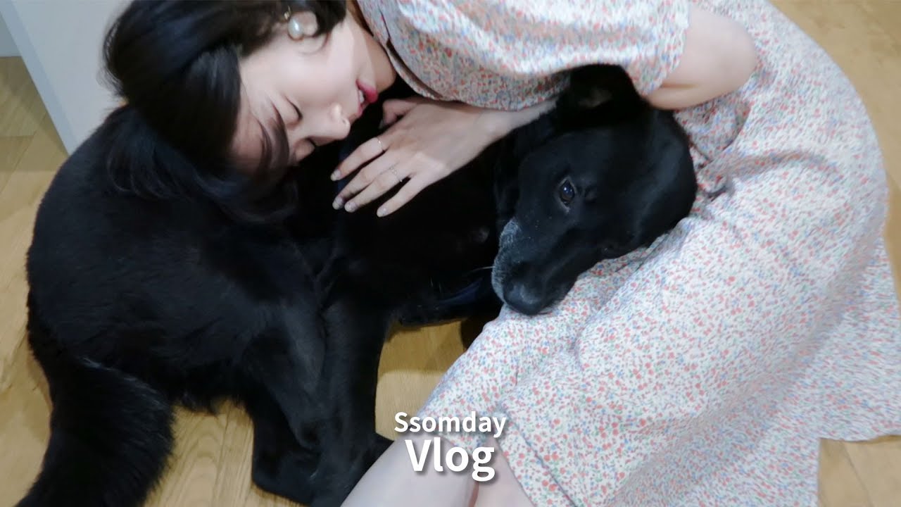 [ENG] 유쾌하고 소소한 나의 일상:)