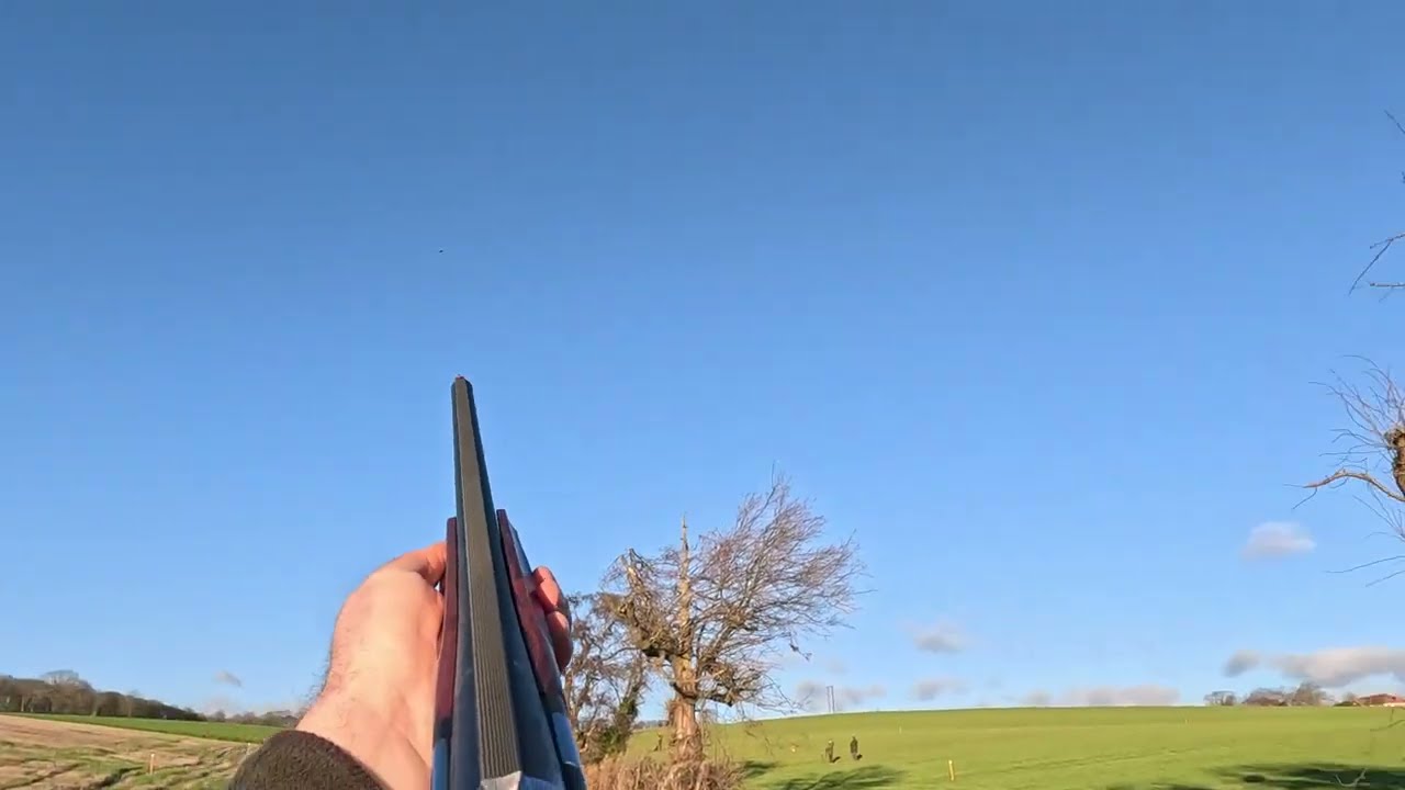 Pheasant and Partridge Shooting (My Last Day 03/01/26)