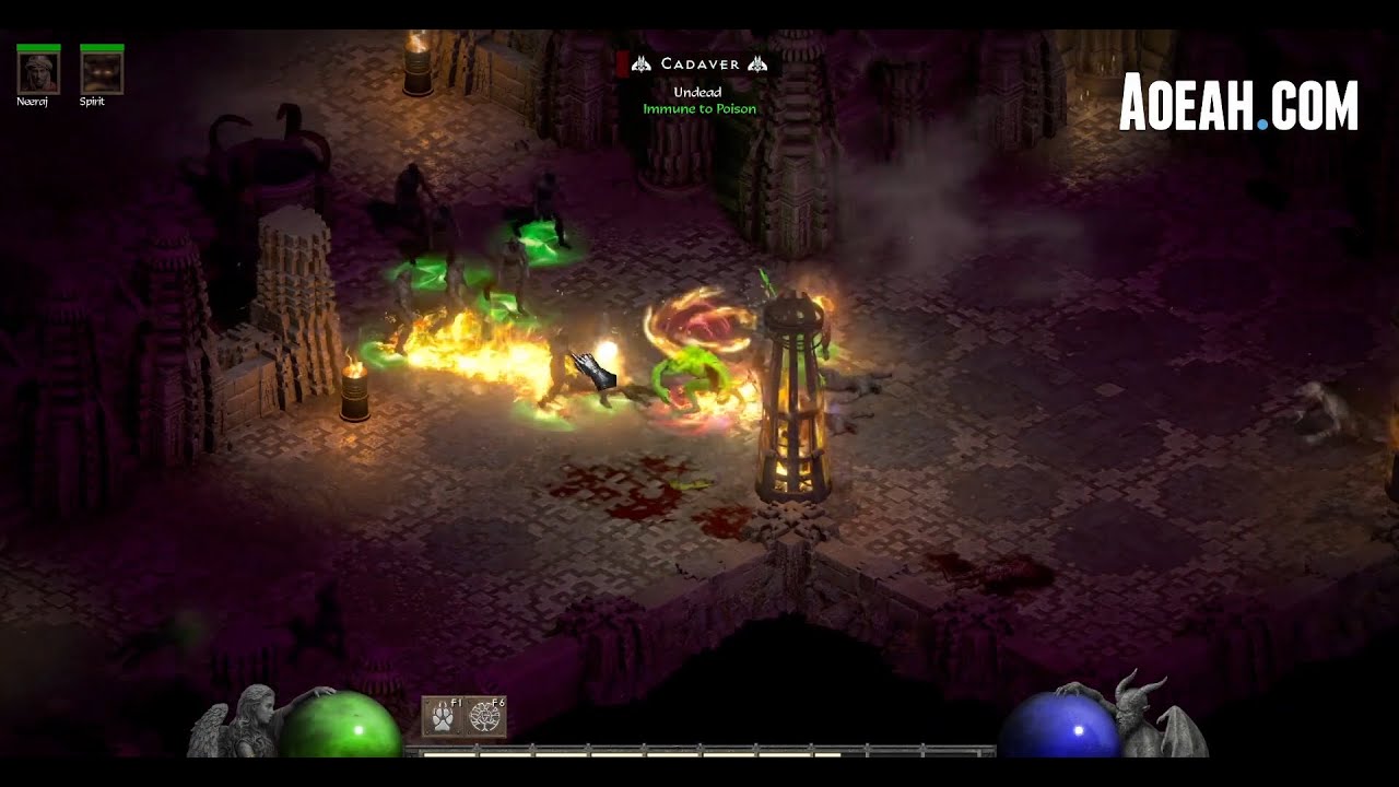 D2R 2.5 Wolf Druid Farm Elites in World Stone Terror Area - Best Diablo 2 Resurrected Build | AOEAH