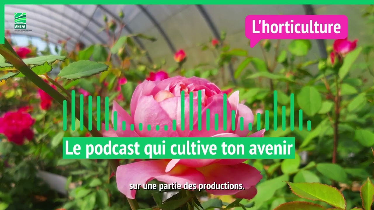 L'horticulture : « On m'a donné ma chance »