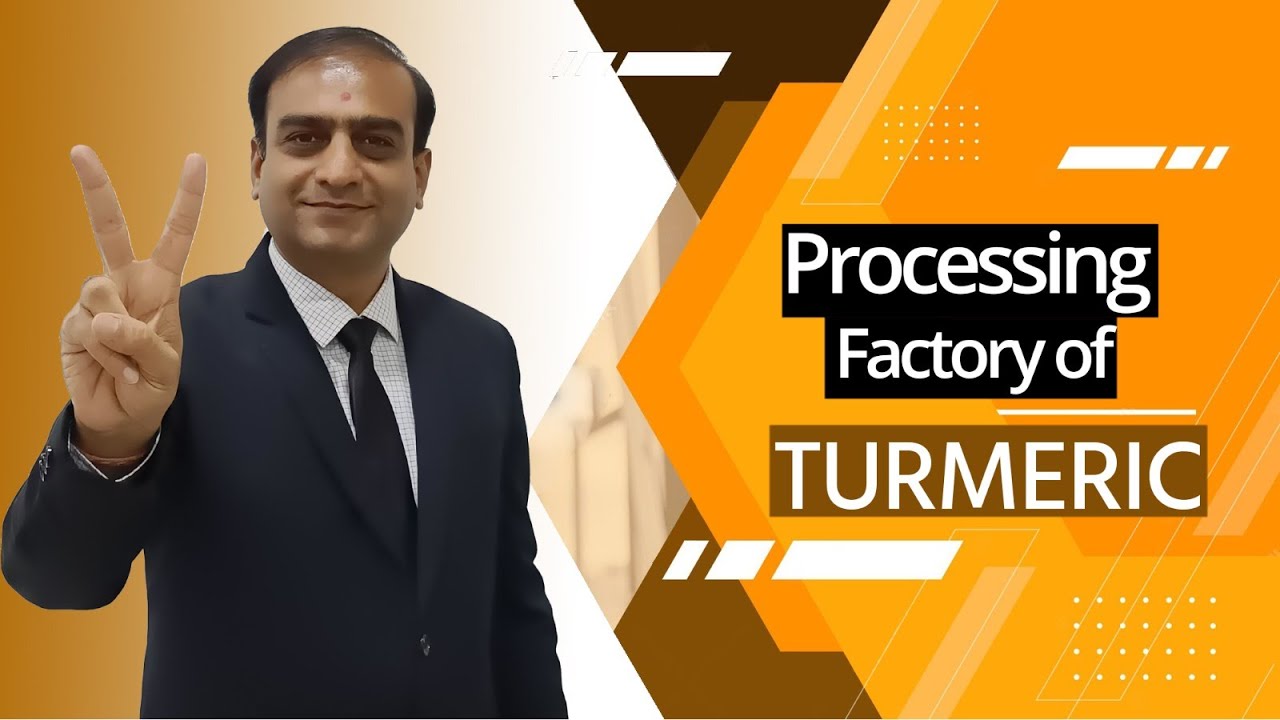 Processing Factory of Turmeric | Best Quality Indian Turmeric | Indian Spices