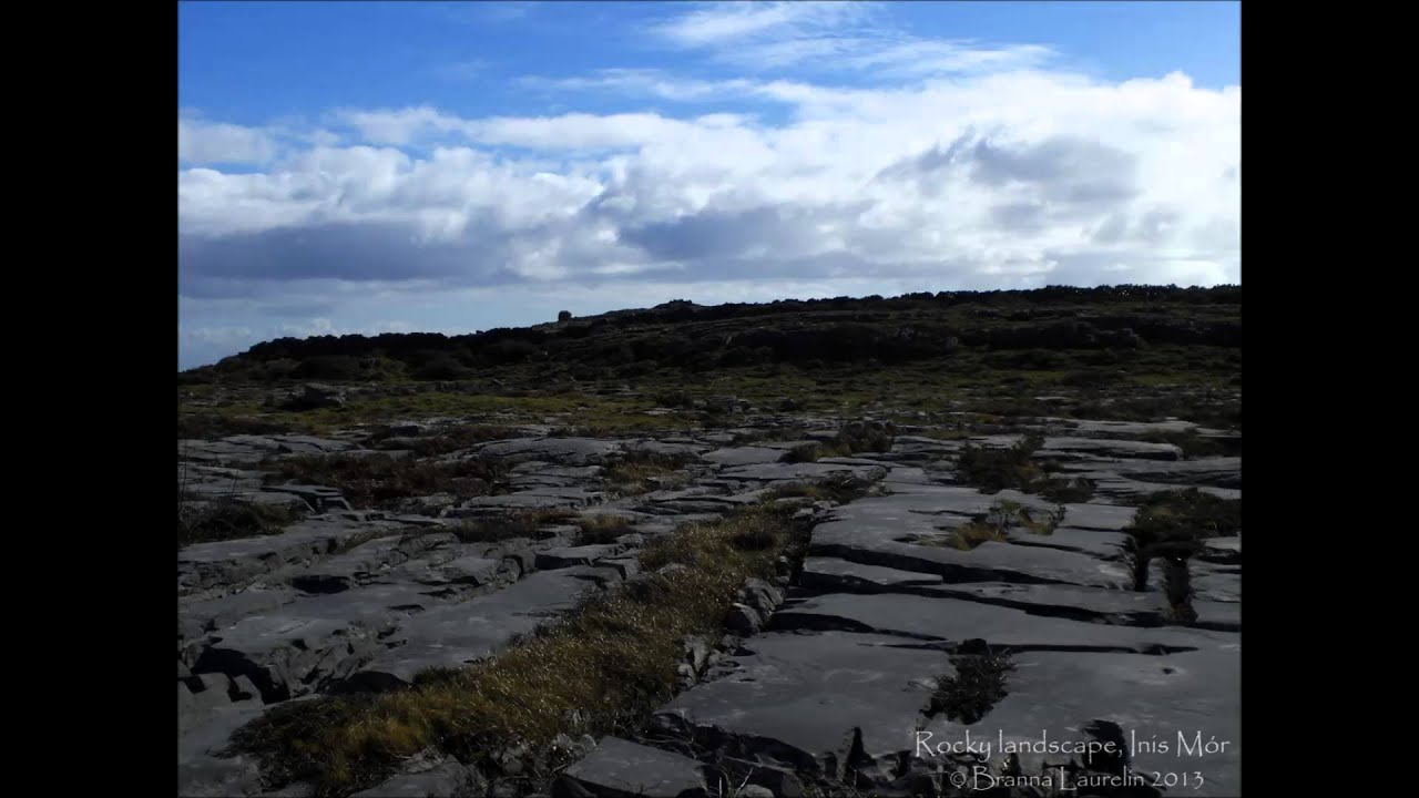 Stolen Child harp and voice cover