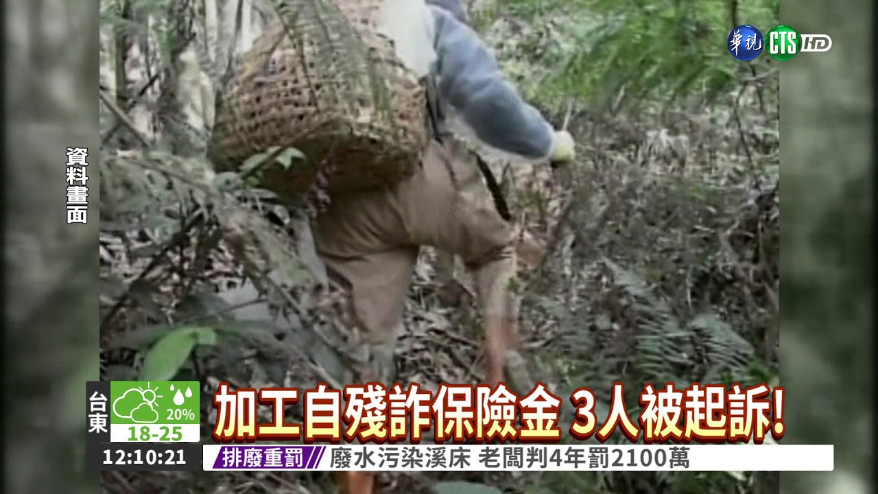 加工自殘詐保險金 2年領874萬