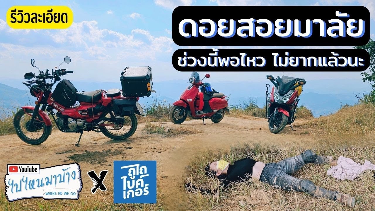 282 ดอยสอยมาลัย ล่าสุดเกลี่ยทางแล้ว ขึ้นง่ายกว่าเดิม I ไปไหนมาบ้าง