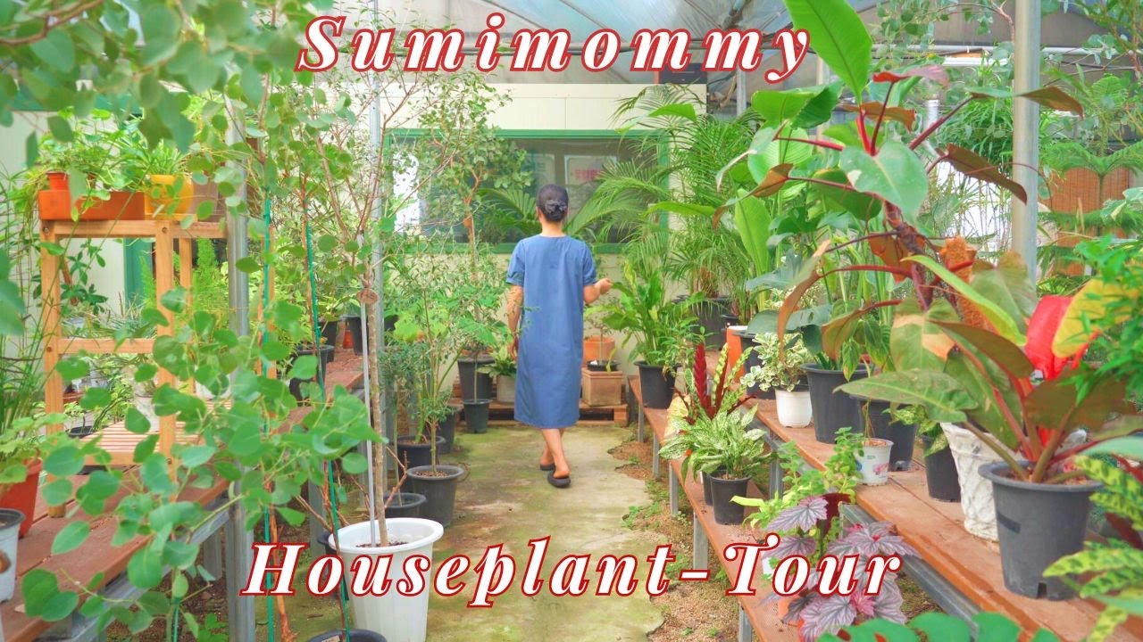 100가지 - 화초 구경하러 꽃집 왔어요 - Houseplant Tour - VLOG