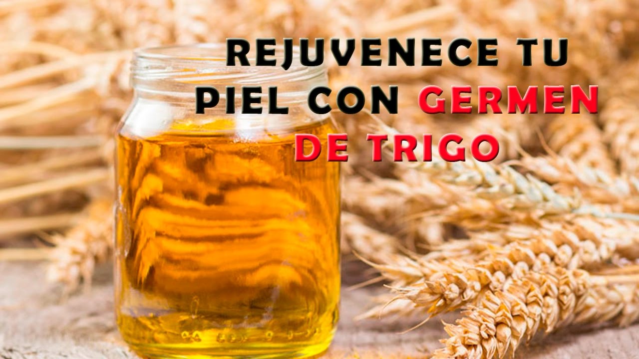 Propiedades del Germen de Trigo en la Piel - Germen de Trigo para Rejuvenecer la Piel