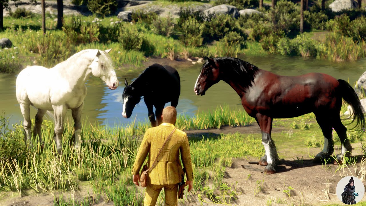 Arthur Morgan Spots and Tames Three Different Types of Shire Horses &mdash; All in One Place! 🐎🔥
