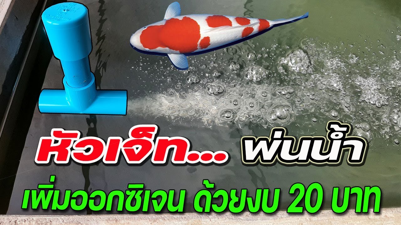 หัวเจ็ทพ่นน้ำบ่อปลาคราฟ ทำโคตรง่าย ราคาแค่ 20 บาท