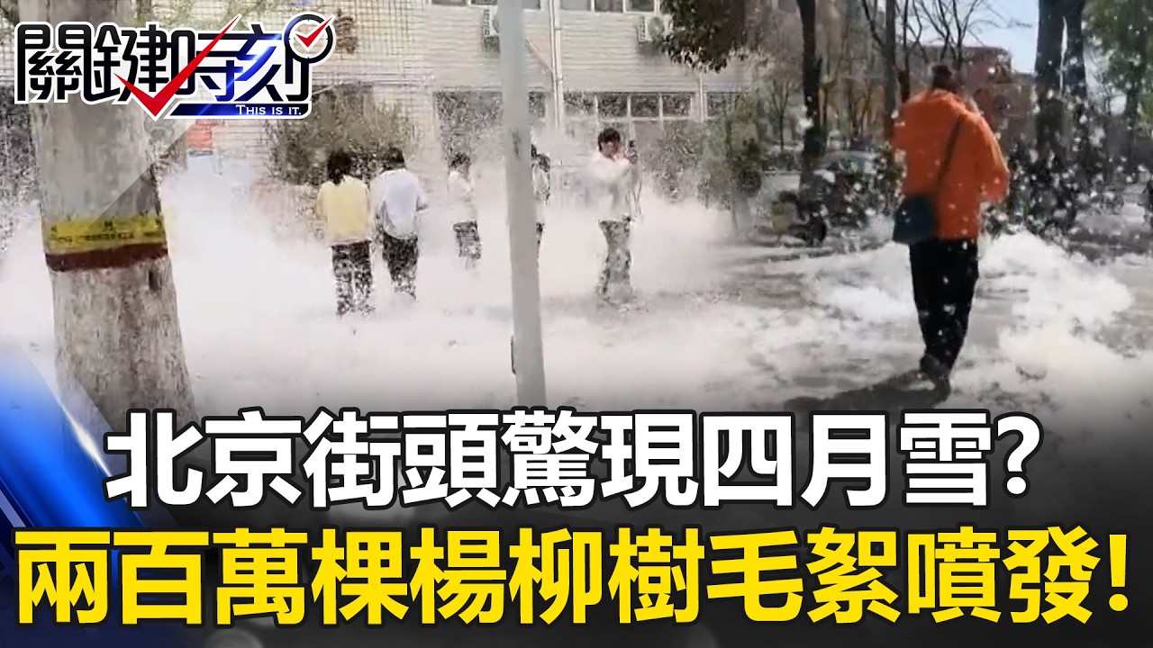 北京街頭驚現「四月雪」！？兩百萬棵楊柳樹「毛絮噴發」 開車一片霧茫茫！【關鍵時刻】20260414-3 張炤和 姚惠珍