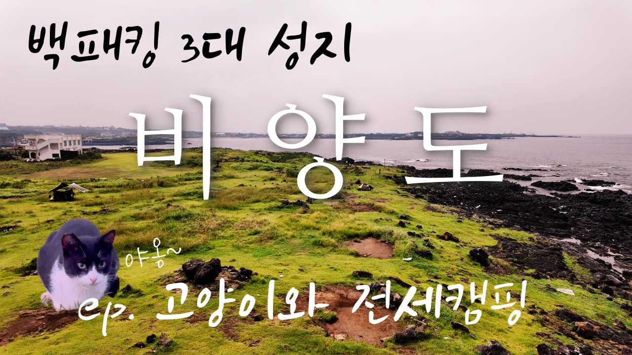 [제주도 백패킹] EP02 고양이들의 섬 비양도 | 백패커들의 천국 #백패킹3대성지 #우도 #우도비양도 #제주도 #비치코밍