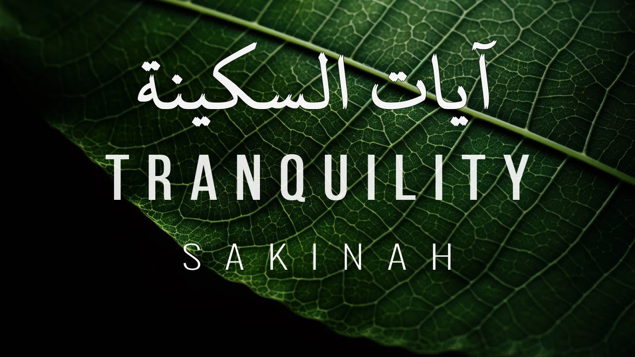 Ayat e Sakinah | آيات السكينة | Tranquility | Peace Your Heart & Soul | Alqama_Naziri