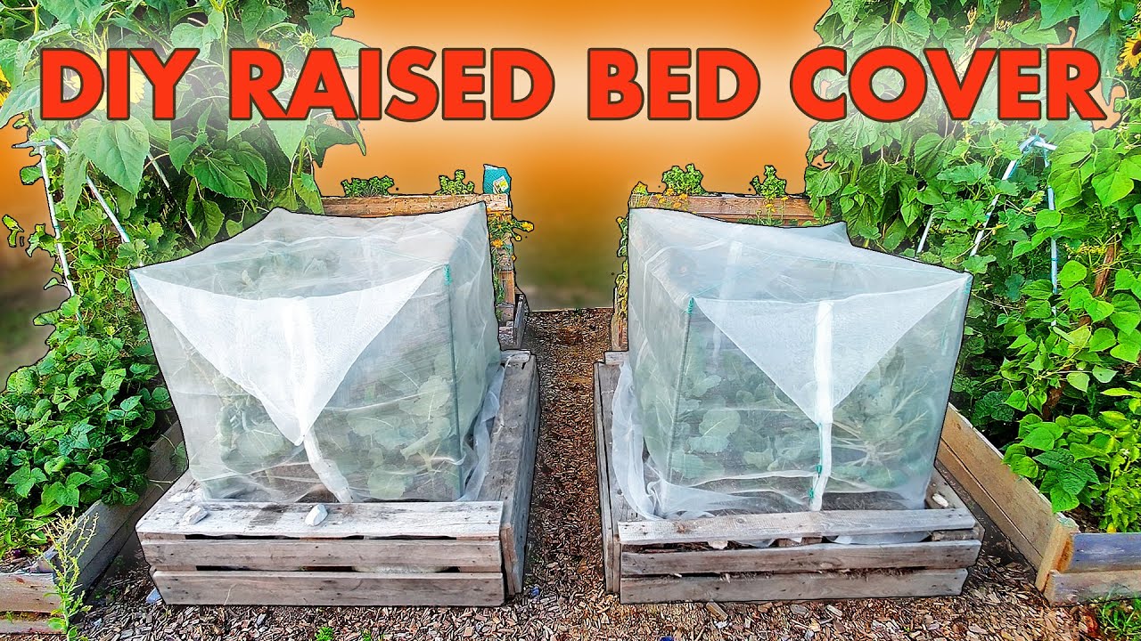 Covered Raised Garden Beds - Cabbage White Butterfly Natural Control