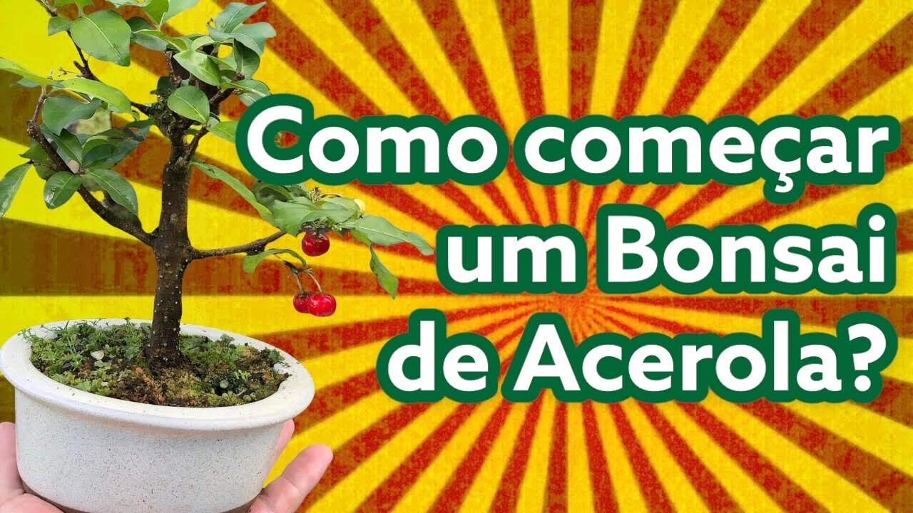 Como fazer Bonsai de Acerola ?