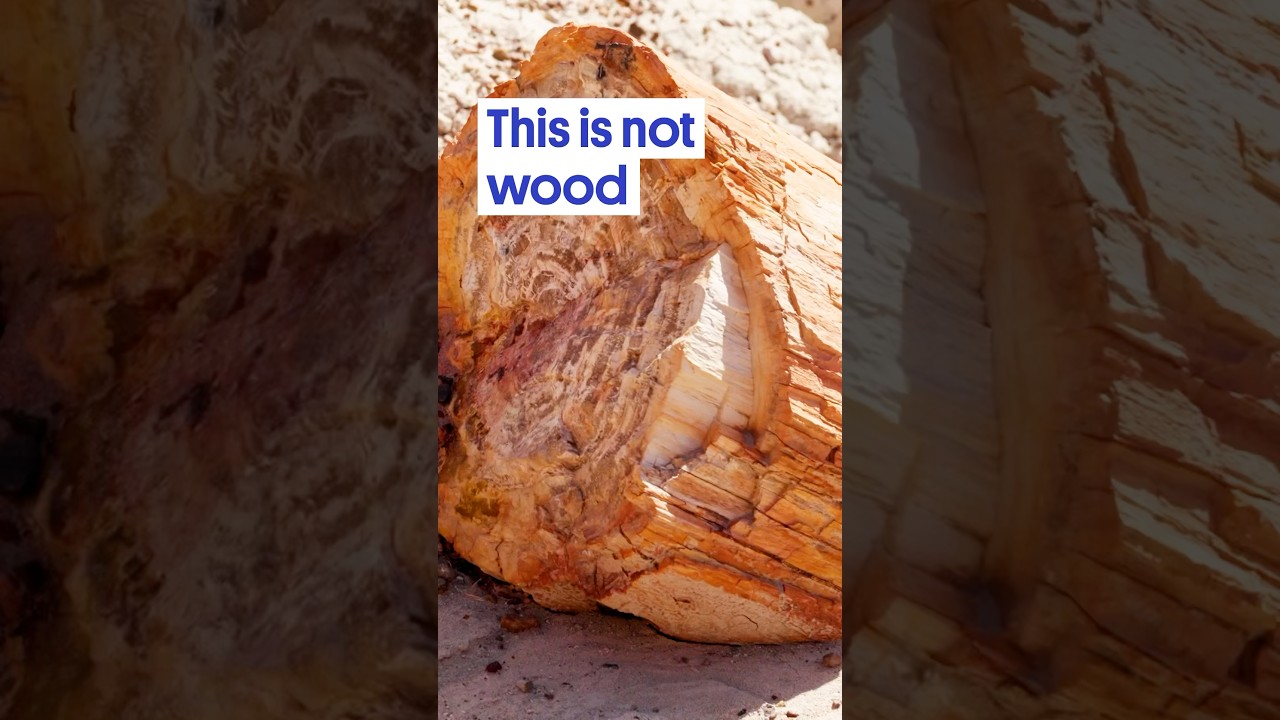 Something weird happened to these trees&hellip;