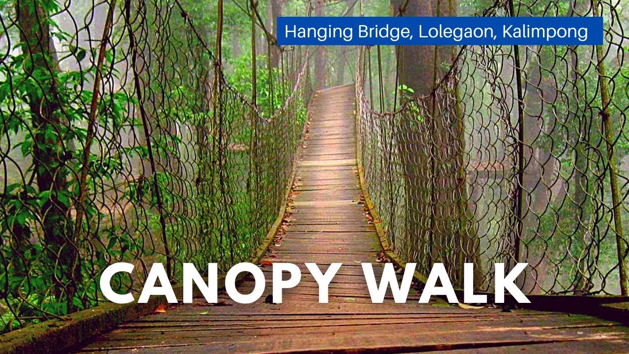এটা কেমন Canopy Walk 😭|Hanging Bridge | Lolegaon kaffergaon Sightseeing | Popular Offbeat Kalimpong