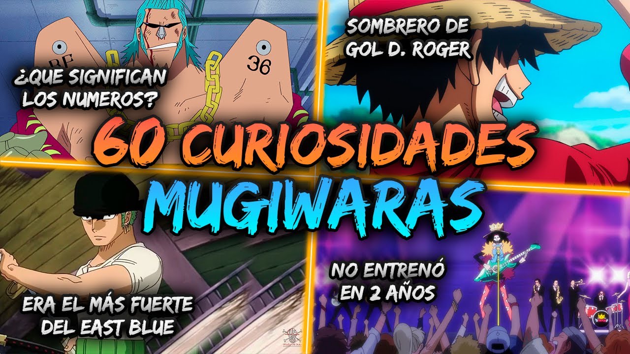 1 CURIOSIDAD de CADA MUGIWARA en ONE PIECE