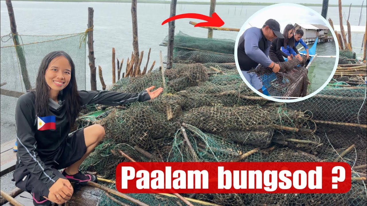 Wala Munang Bungsod Kasi Ipapaayos Muna Namin|Marielasin Vlog