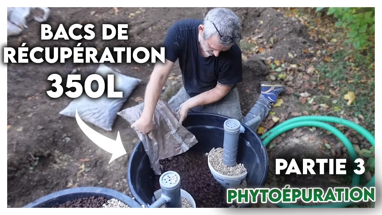 4- GRATUIT et efficace : Je recycle d'anciens godets d'arbre  de 350L pour faire ma PHYTOEPURATION
