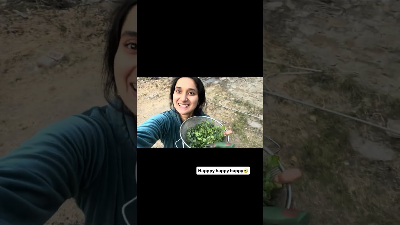 Green chutney ASMR | Dhaniya and pudina ki chutney🌶️🍀| organic farming🏔️#cookingvideo #harichutney 