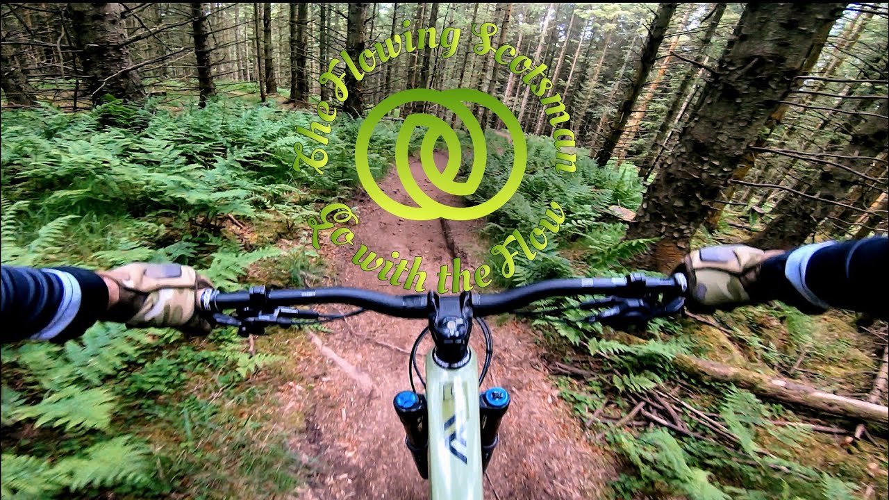 Shreddin Pitmedden! Action packed Enduro/DH MTB trails in Pitmedden Forest, Scotland.