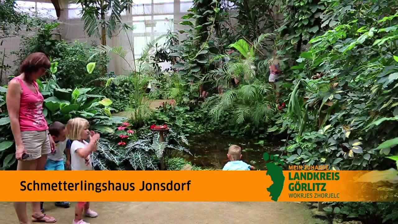 Schmetterlingshaus Jonsdorf im LANDKREIS GÖRLITZ