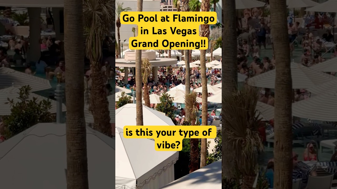 Brand New! Go Pool at Flamingo Las Vegas #lasvegas #dayclub #flamingopools
