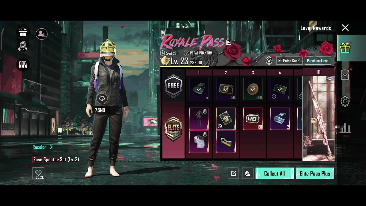 Elite Royal Pass Purchased