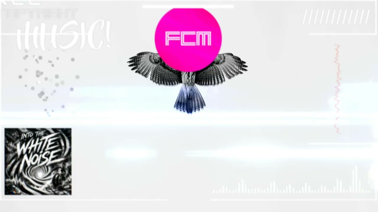 Into The White Noise - FCM - Free Copyright Music - This bird has a SECRET message on its back!