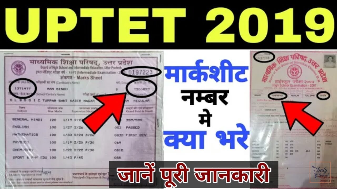 UPTET 2019 मार्कशीट नम्बर में क्या भरे | UPTET 2019 Marksheet number क्या होता हैं।