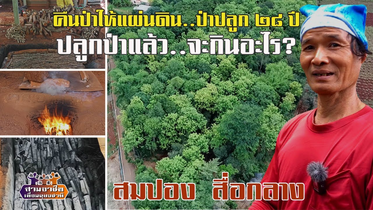 คืนป่าให้แผ่นดิน..ป่าปลูก ๒๘ ปี