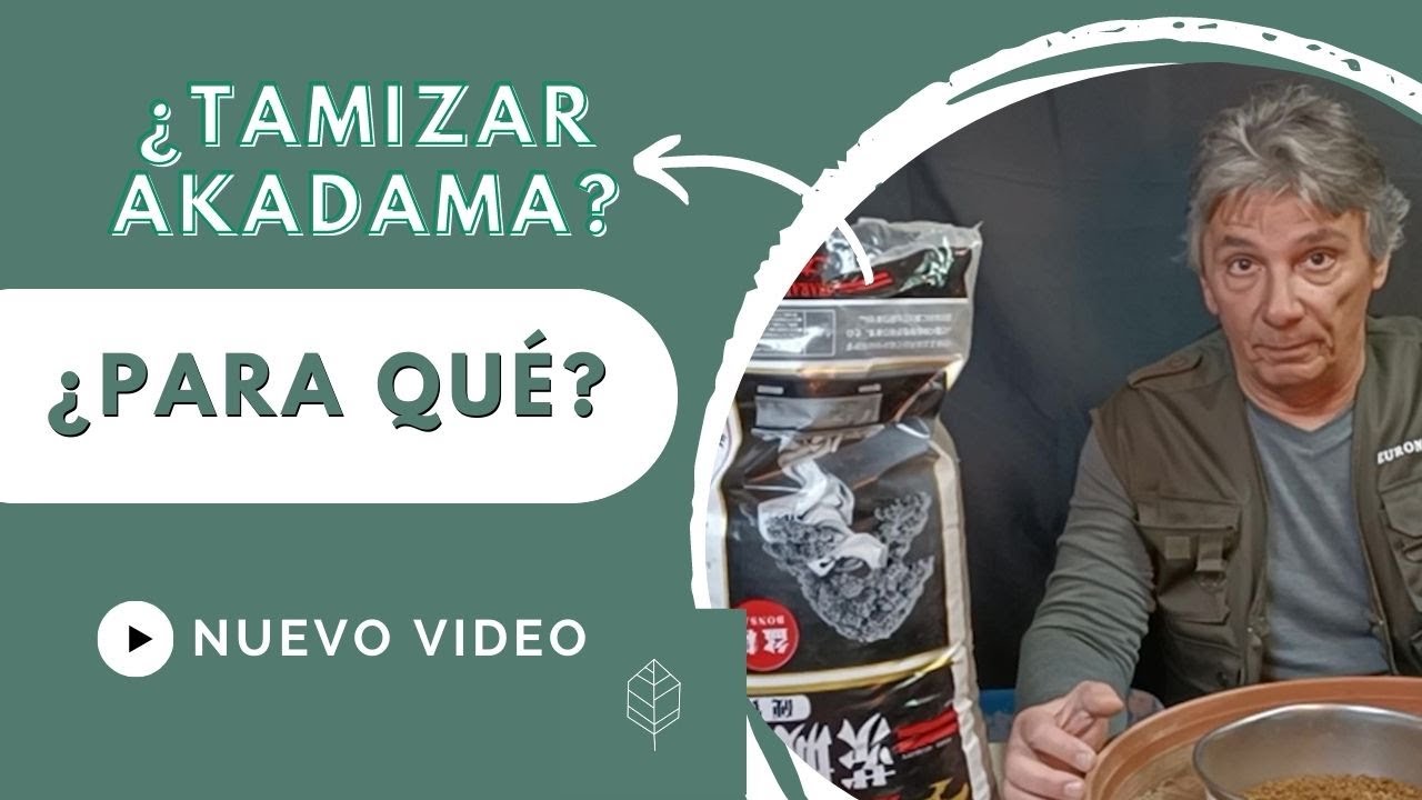 Tamizar akadama para bonsái. ¿Para qué? ¿Vale la pena?