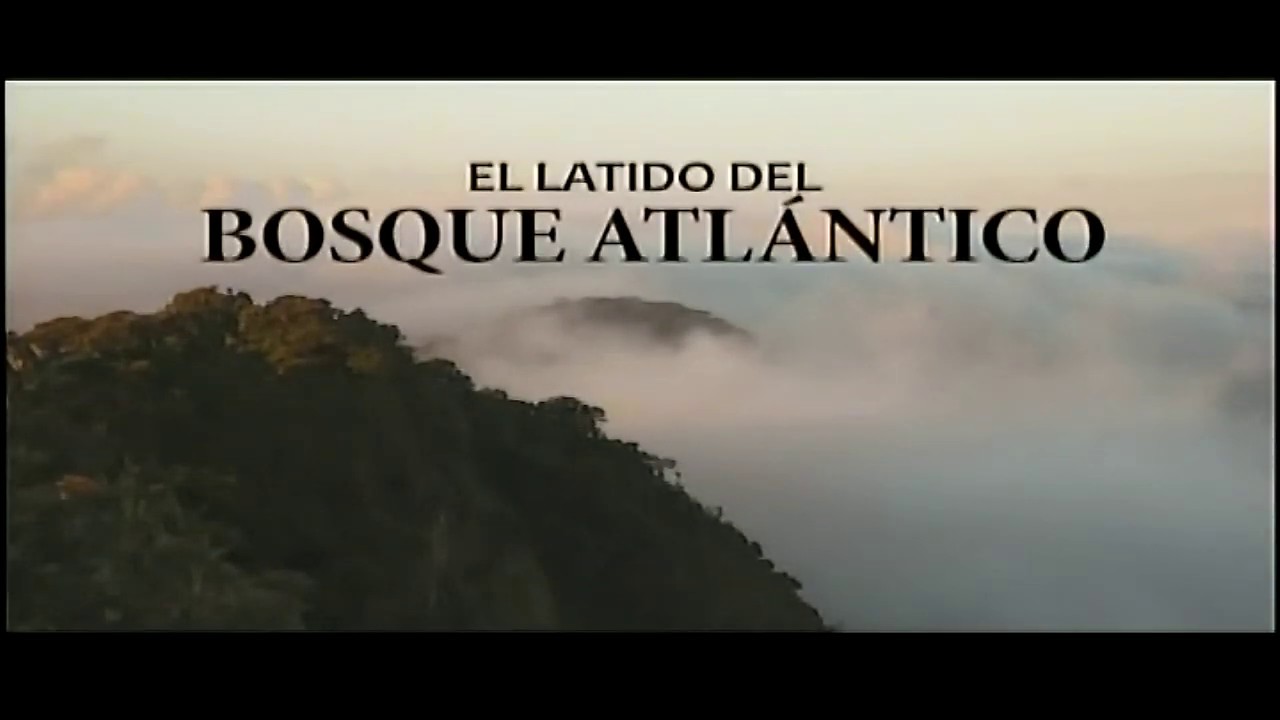 EL LATIDO DEL BOSQUE ATLÁNTICO