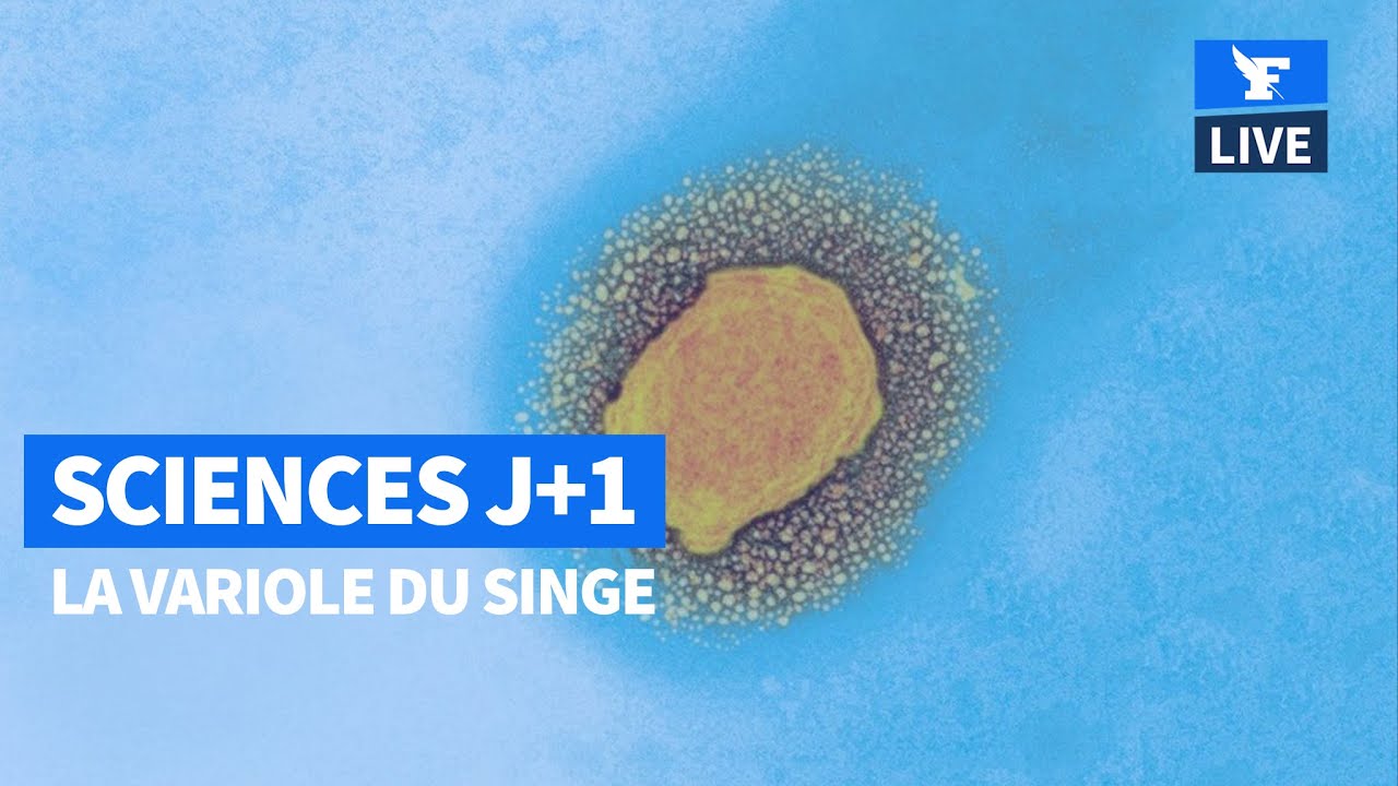 Variole du singe: faut-il s'inquiéter?