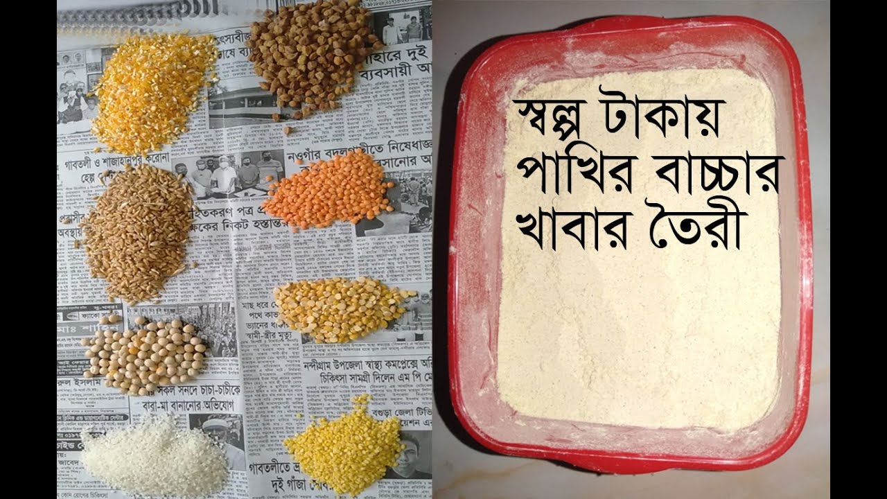 পাখির বাচ্চার খাবার তৈরীর পদ্ধতি । স্বল্প খরচে হ্যান্ড ফিডিং তৈরী। Home made hand feeding formula