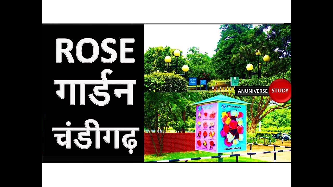 ZAKIR HUSSAIN ROSE GARDEN CHANDIGARH - जाकिर हुसैन रोज़ गार्डन चंडीगढ़