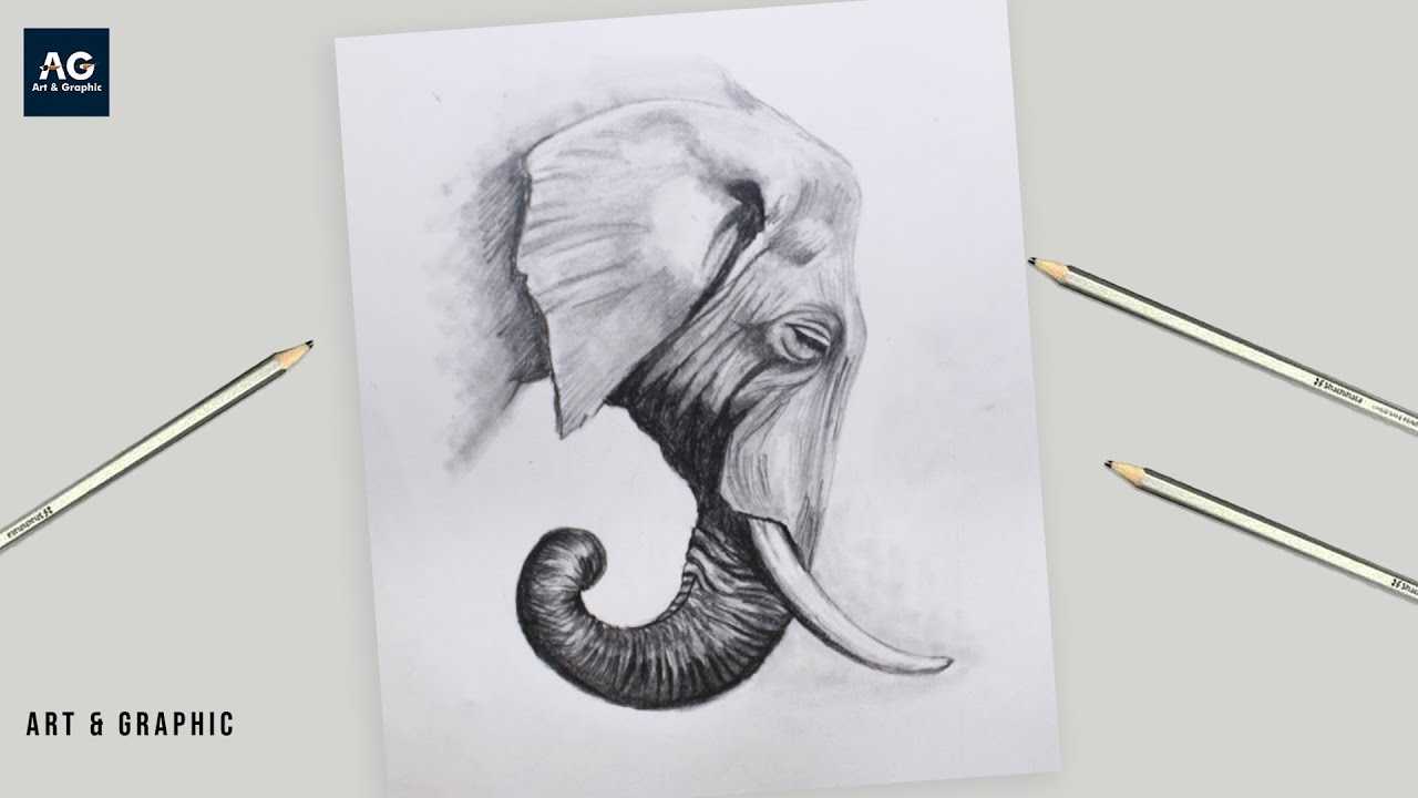 How to Draw a realistic Elephant face | Easy Pencil Drawing