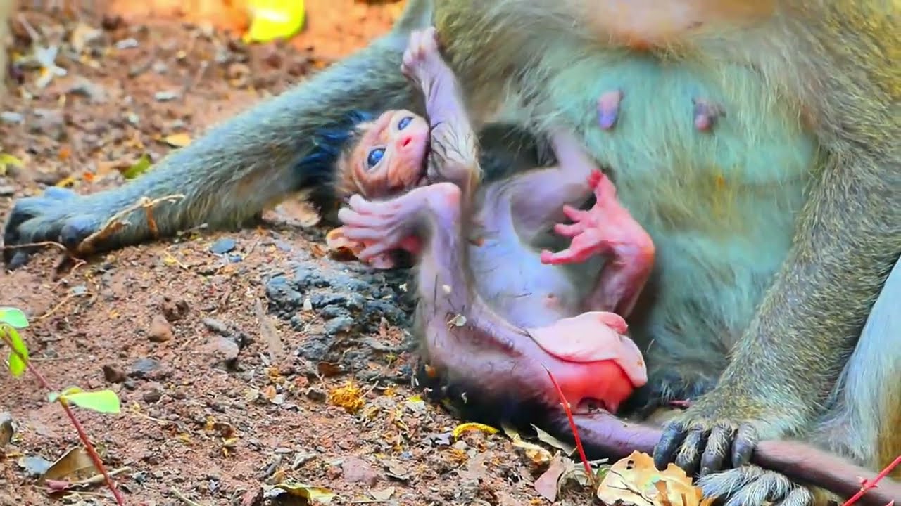 What Wrong Happen On Newborn...?