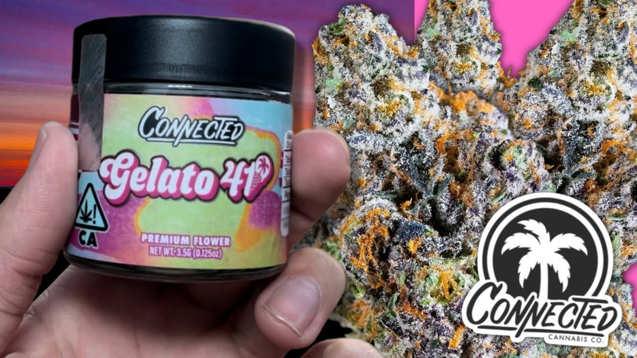 CONNECTED: GELATO 41