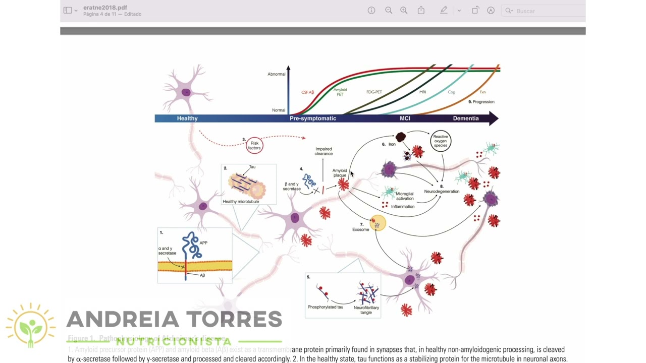 FISIOPATOLOGIA DO ALZHEIMER | ESTUDE COMIGO