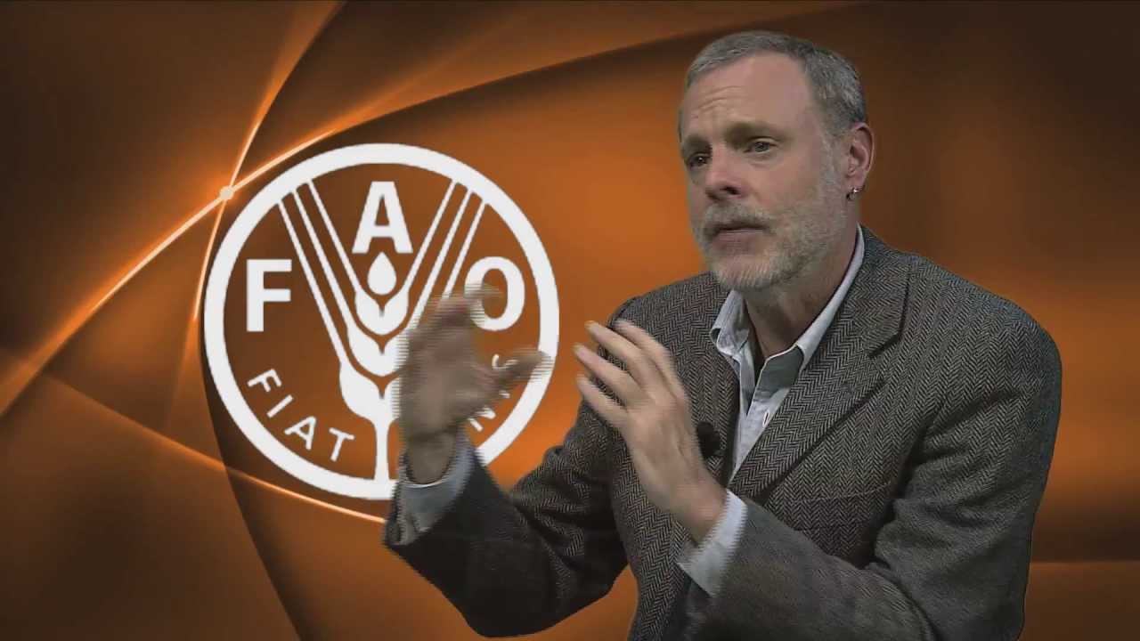 Social protection and cash transfer programmes in sub-Saharan Africa