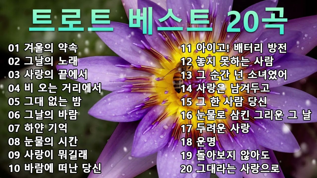 트로트 베스트 20곡 | 하루 종일 듣기 좋은 노래 모음 Trot Music Collection | Best 20 Korean Trot💓