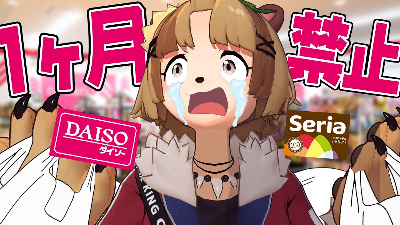 【禁欲】愛すべき100均を１ヶ月我慢したので無制限で爆買いします。【ダイソー セリア 購入品】