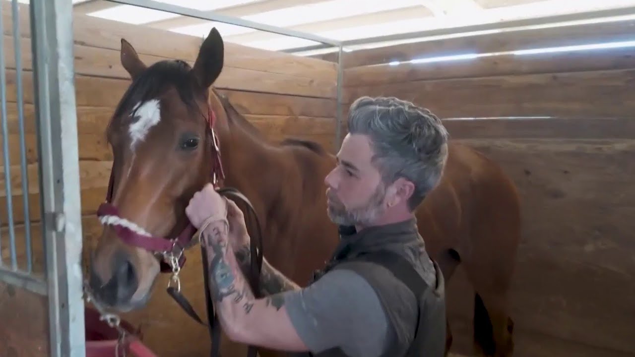 Inside the stables: How racehorses are trained for the track at Sam Houston Race Park