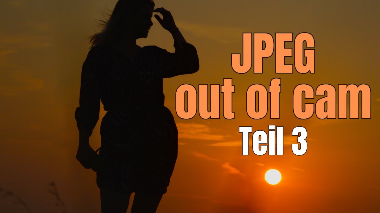 JPEG out of Cam Teil 3 - NIKON Picture Profile