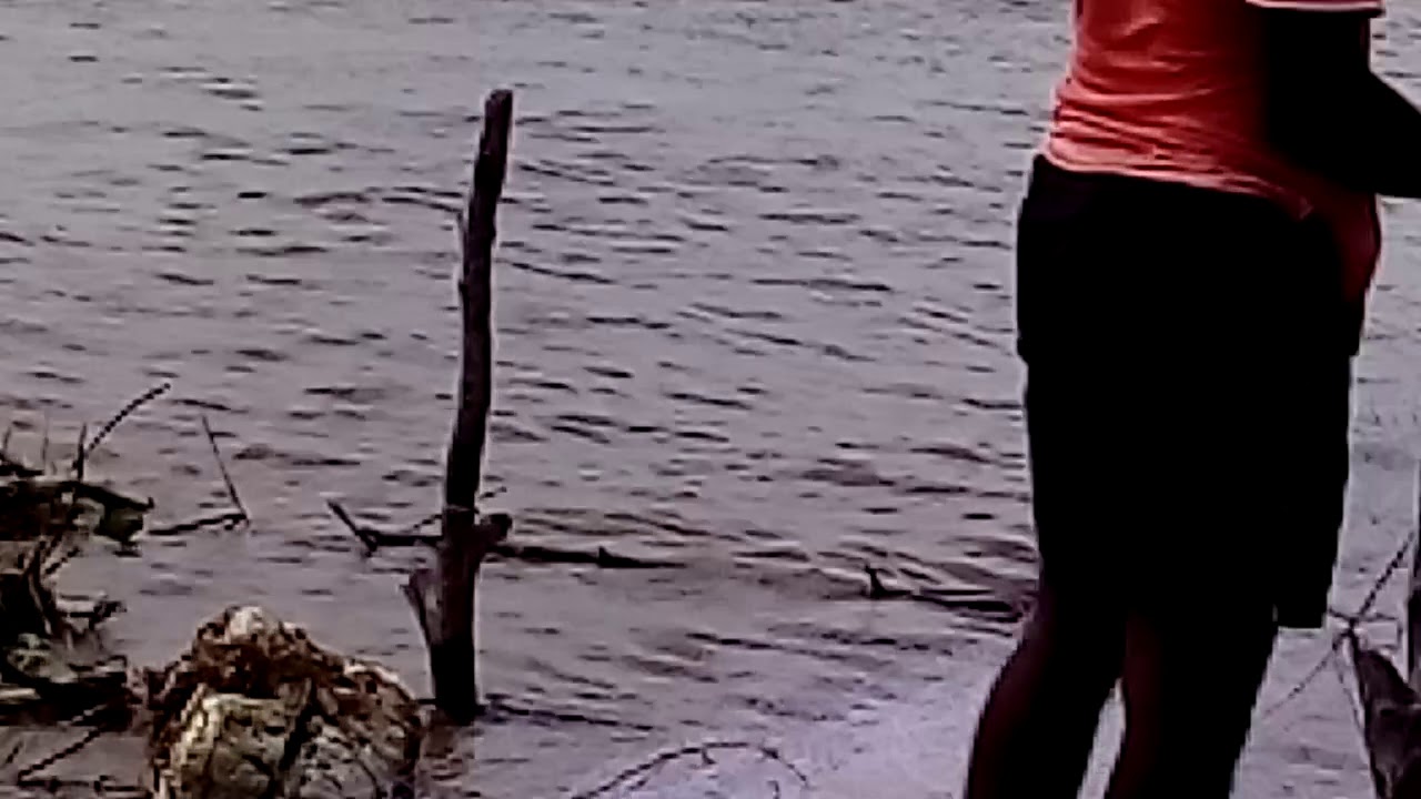 Krishna river flood affect 2019